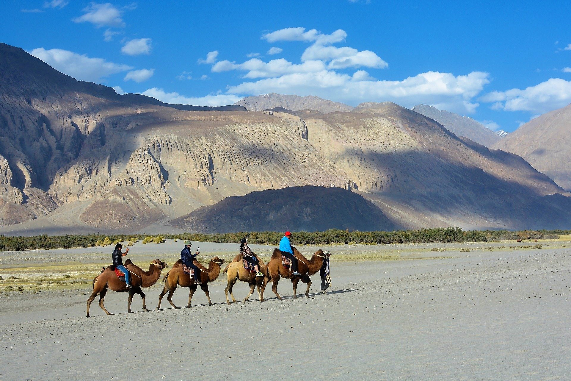 1633193316_862424-Nubra-2-humped-Camel.jpg